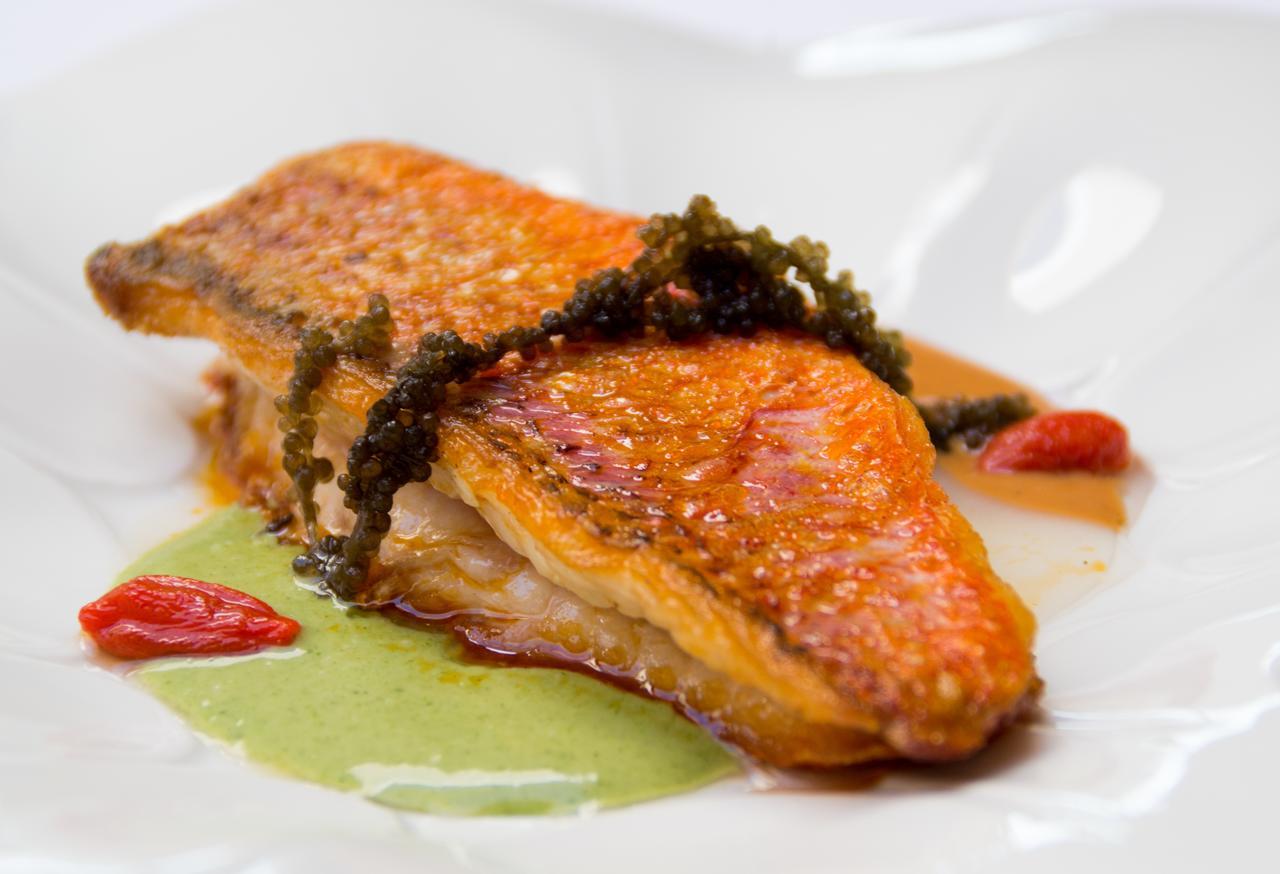 Carche Casa Boquera酒店 外观 照片